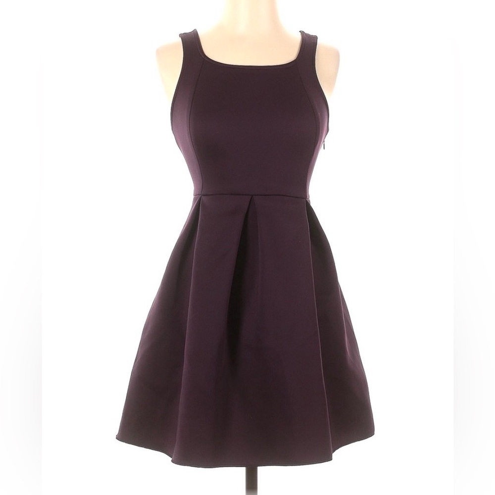 Express Fit and Flare Skater Dress Plum